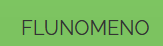Blog Parceiro Flunômeno